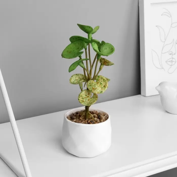 Искусственный цветок в горшке &laquo;Пеперомия люкс&raquo; (мягкий лист), 13&times;6 см, МИКС