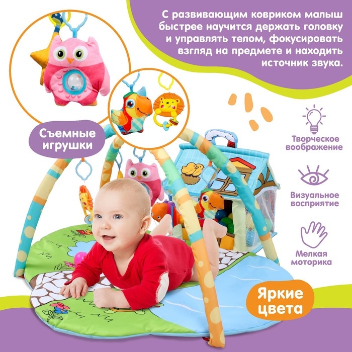 Развивающий коврик с дугами «Домик для игрушек», 93х70 см. Развивающий коврик с дугами «Домик для игрушек», 93х70 см.