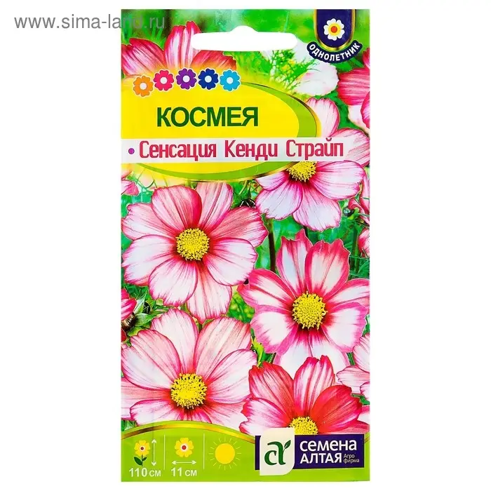 Семена цветов Космея  Семена цветов Космея "Сенсация" Кенди Страйп, О, ц/п, 0,5 г