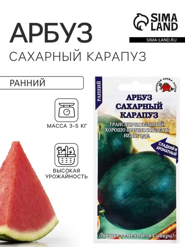 Семена Арбуз &laquo;Сахарный Карапуз&raquo;, 0.5 г, раннеспелый, &laquo;Золотая Сотка Алтая&raquo;
