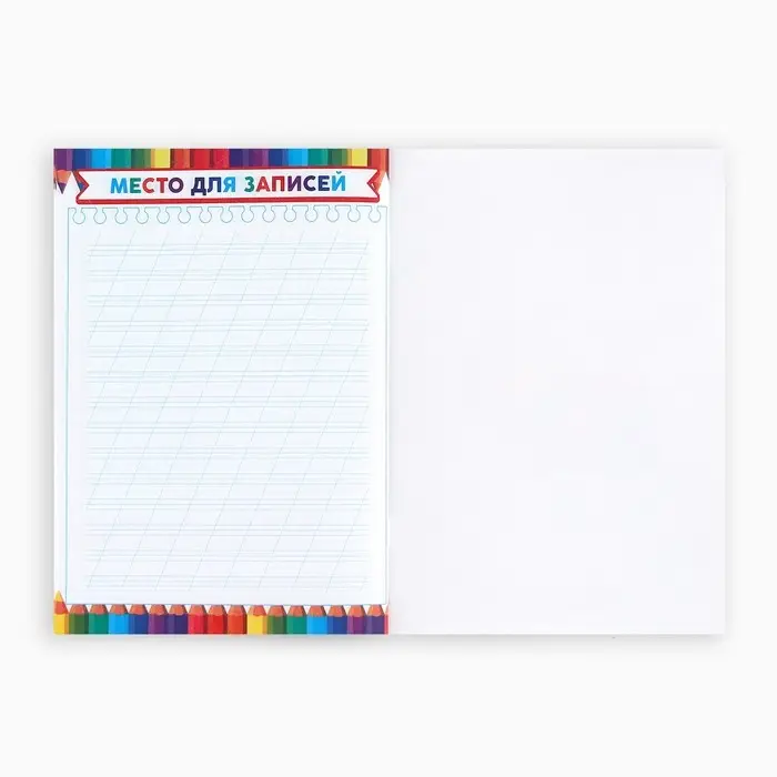 Дневник школьный для первоклассника, сова, 16 страниц,14,8 х 21 см