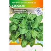 Семена Мелисса "Свежесть" 0,1 г Семена Мелисса "Свежесть" 0,1 г