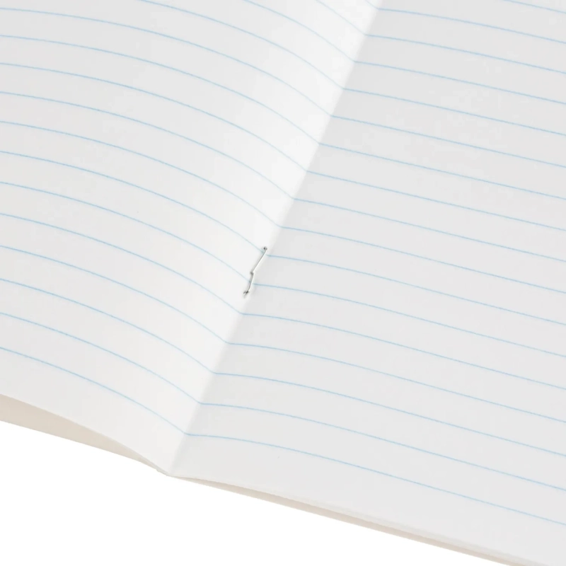 Тетрадь 18Л. ЛИН. PLATINUM 7-18-587/2