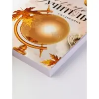 Набор ежедневников А6, 120 л "Золотой учитель", 4 шт