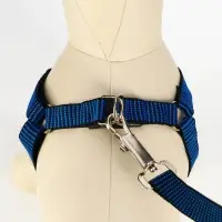 Шлейка с поводком, рельефная, поводок 120&times;2 см, ОГ 44-50 см, синяя, чёрная