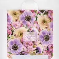 Пакет подарочный &laquo;Адель&raquo;, полиэтиленовый с петлевой ручкой, 38&times;42 см, 40 мкм