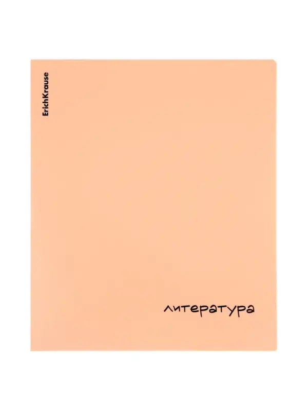 Тетрадь 48 листов в линейку &laquo;Литература&raquo; ErichKrause Dream