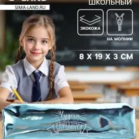 Пенал школьный Calligrata, на молнии, МИКС
