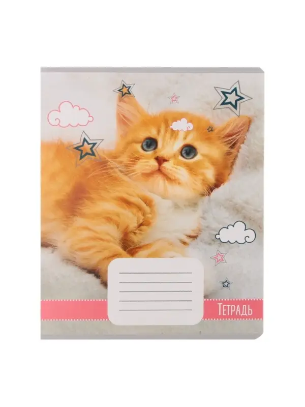 Комплект тетрадей из 10 штук, 18 листов в линию Calligrata "Домашние животные", обложка мелованный картон, ВД-лак, блок офсет, 5 видов по 2 штуки