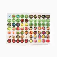 Наклейки-кружочки &laquo;Счёт&raquo;, 16 стр., А5, Маша и Медведь