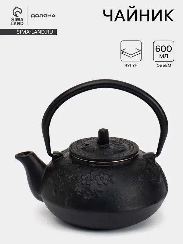 Чайник, 600 мл, с ситом, эмалированное покрытие внутри, чугун, чёрный