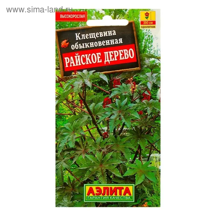 Семена цветов Клещевина "Райское дерево", О, 2 г