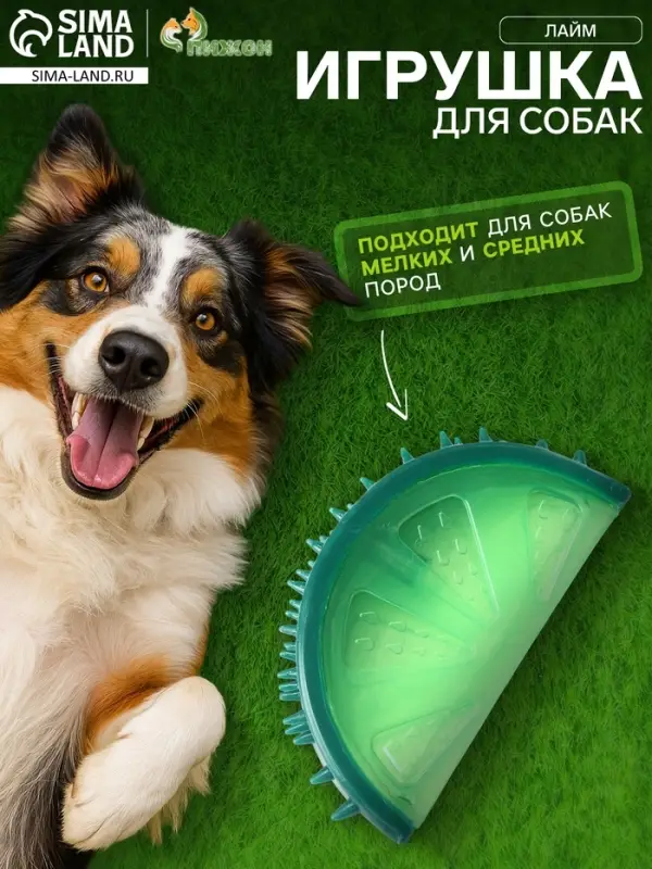 Игрушка охлаждающая для собак &laquo;Лайм&raquo;, 12.5 см, TPR