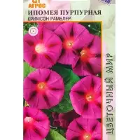 Семена Ипомея пурпурная "Кримсон Рамблер" 1 г Семена Ипомея пурпурная "Кримсон Рамблер" 1 г