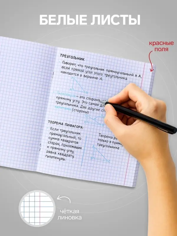 Тетрадь 96 листов в клетку, Calligrata &laquo;Текст на чёрном&raquo;, МИКС