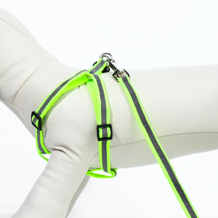 Комплект со светоотражающей лентой, ошейник 120 х 1 см, ОГ 26-40 см, зеленый Комплект со светоотражающей лентой, ошейник 120 х 1 см, ОГ 26-40 см, зеленый