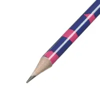 Карандаш чернографитный ErichKrause Pinna Kotta, круглый, с ластиком, HB, в тубусе, МИКС