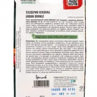 Семена цветов Эхеверия Urban Orange пекокка  5др.  12.29 г.
