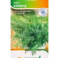 Семена Укроп "Изумруд" 2 г Семена Укроп "Изумруд" 2 г