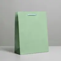 Пакет подарочный ламинированный, упаковка, &laquo;Зелёный&raquo;, MS 18&times;23&times;8 см