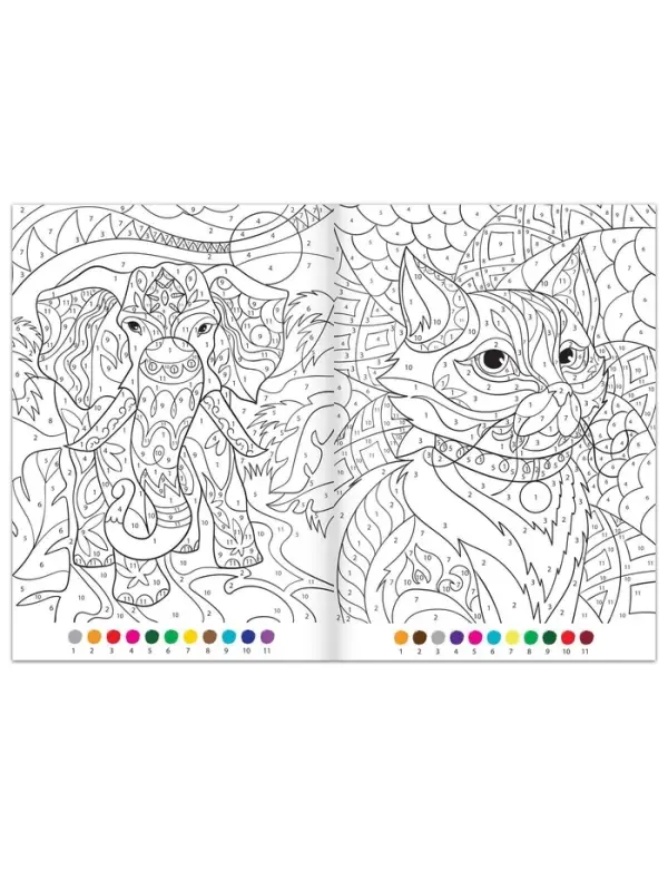 Раскраска по номерам &laquo;Удивительный мир&raquo;, 16 стр., формат А4