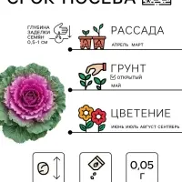 Семена цветов Капуста Декоративная, 0.05 г, &laquo;Рецепты дедушки Никиты&raquo;
