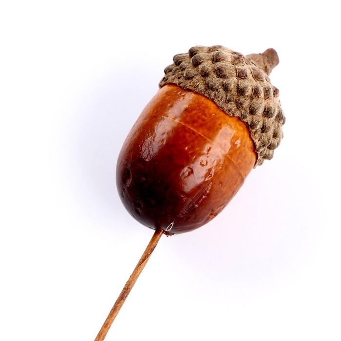 Декор для творчества «Желуди» набор 20шт, 3х2см Декор для творчества «Желуди» набор 20шт, 3х2см