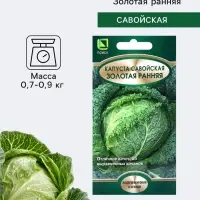 Семена Капуста савойская &laquo;Золотая ранняя&raquo;, 0.5 г, &laquo;Поиск&raquo;