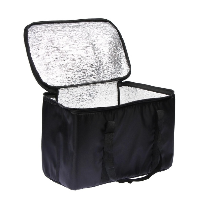 Термосумка Cartage Т-14, черная, 10 л, 26х19х19 см Термосумка Cartage Т-14, черная, 10 л, 26х19х19 см