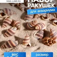 Набор ракушек, 1 - 2 см, 100 г