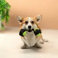 VETTA Игрушка для домашних животных, ПЭ, хлопок, 23 см