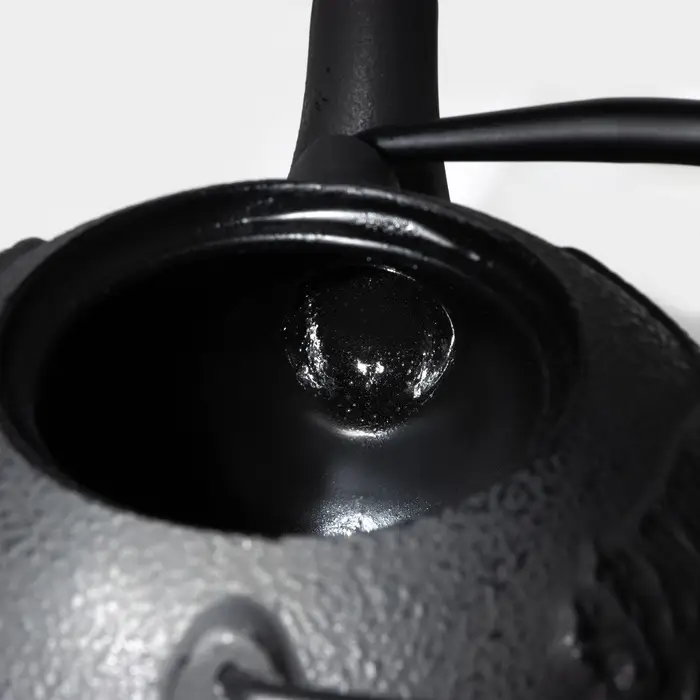 Чайник Доляна &laquo;Чёрный тигр&raquo;, 700 мл, с ситом, эмалированное покрытие внутри, индукция, чугун, чёрный