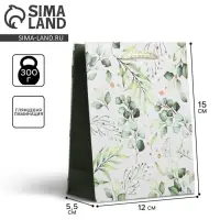 Пакет подарочный ламинированный, упаковка, Present for you, S 12&times;15&times;5.5 см