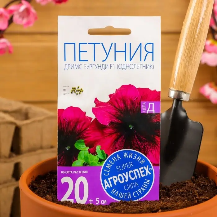 Семена цветов Петуния Семена цветов Петуния "Дримс" Бургунди F1, крупноцветковая, О, 10шт