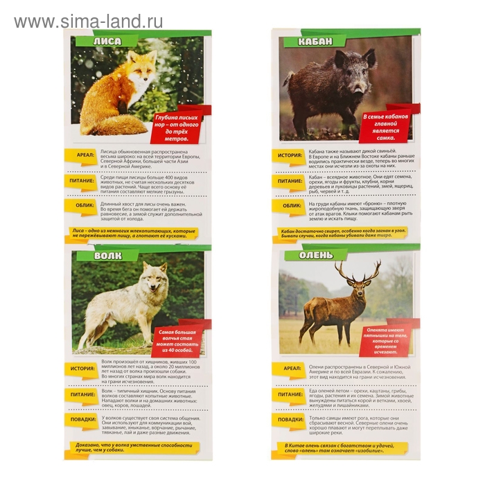 Мини-энциклопедии набор «Узнаём про всё вокруг. Живая природа», 8 шт. по 20 стр. Мини-энциклопедии набор «Узнаём про всё вокруг. Живая природа», 8 шт. по 20 стр.