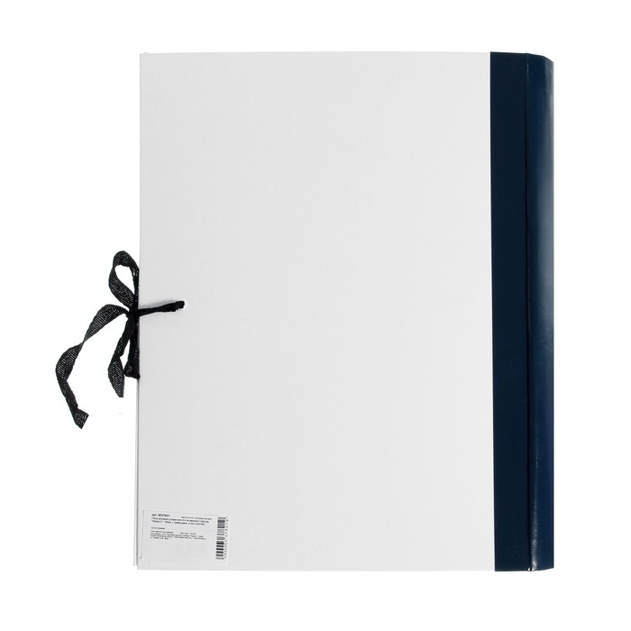 Папка архивная д/переплета А4, на завязках, Calligrata  Папка архивная д/переплета А4, на завязках, Calligrata "Форма 21" 100 мм, с гребешками, 4 отв-я