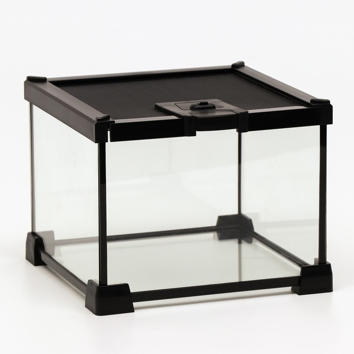 Террариум для рептилий 6,4 л, с креплением для предотвращения побега, 20 х 20 х 16 см Террариум для рептилий 6,4 л, с креплением для предотвращения побега, 20 х 20 х 16 см