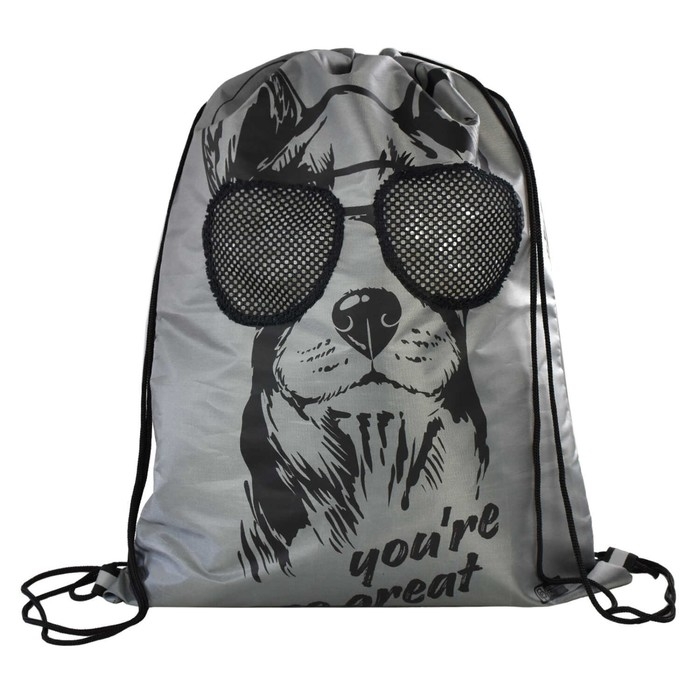 Мешок для обуви 480 х 360 мм, Феникс, шелкография, сетка,  Мешок для обуви 480 х 360 мм, Феникс, шелкография, сетка, "Собака в очках"