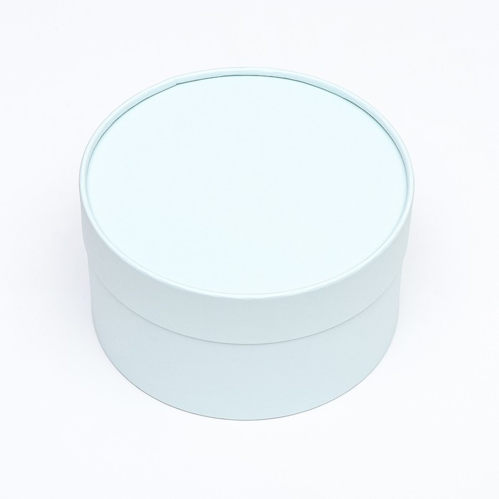 Подарочная коробка Подарочная коробка "Wewak" лагуна, завальцованная без окна, 18 х 10 см