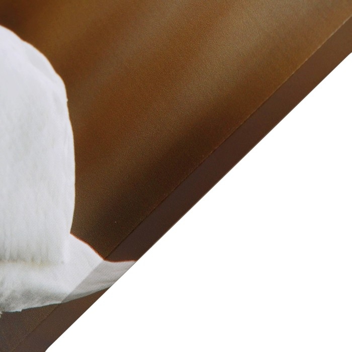 Картина Картина "Лебёдушки" 50*70 см