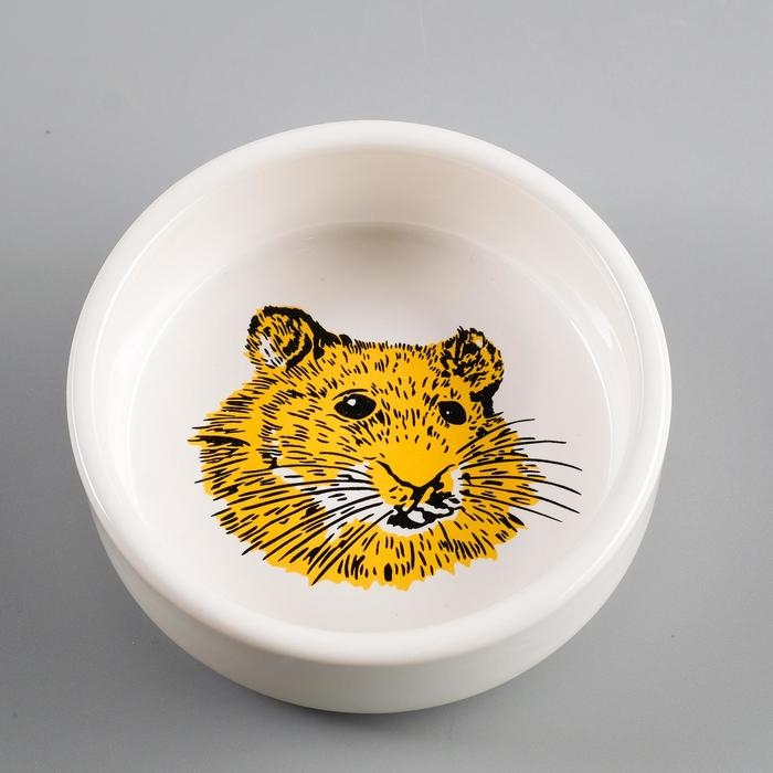 Миска керамическая для грызунов Миска керамическая для грызунов "Сытая мордочка" 80 мл 8,5 х 3 см