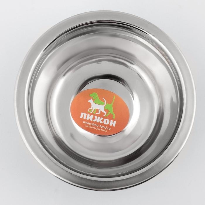 Миска стандартная цветная с принтом, 240 мл, голубая Миска стандартная цветная с принтом, 240 мл, голубая