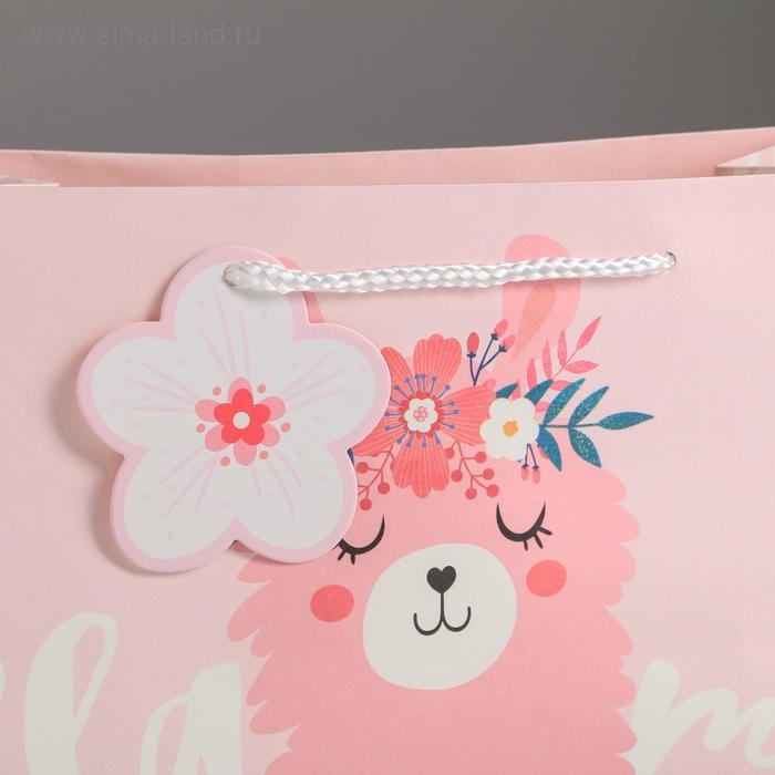 Пакет подарочный, упаковка, &laquo;Lama&raquo;, 27 х 23 х 11,5 см