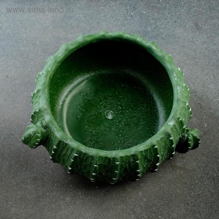 Кашпо - бонсай  Кашпо - бонсай "Кактус" 25х11см