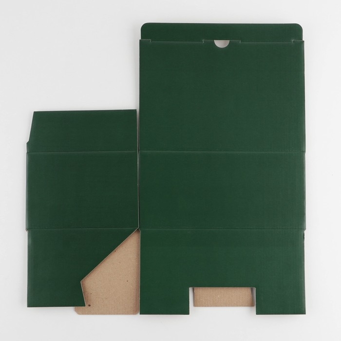 Коробка подарочная складная, упаковка, «Зелёная», 22 х 15 х 10 см Коробка подарочная складная, упаковка, «Зелёная», 22 х 15 х 10 см