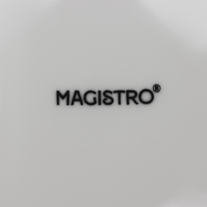 Набор тарелок фарфоровых обеденных Magistro Basic bistro, 6 предметов: d=22 см, цвет белый Набор тарелок фарфоровых обеденных Magistro Basic bistro, 6 предметов: d=22 см, цвет белый
