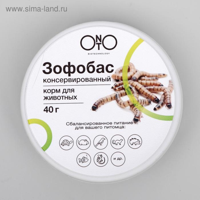 Консервированный корм ONTO для животных, зофобас 40 г Консервированный корм ONTO для животных, зофобас 40 г
