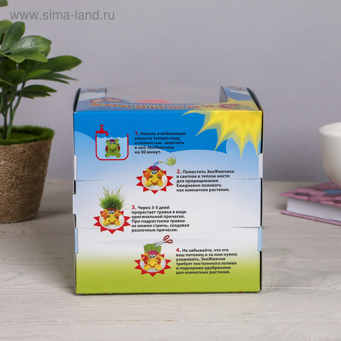 Растущий подарок травка Экоживчик "Черепаха" в подарочной упаковке МИКС