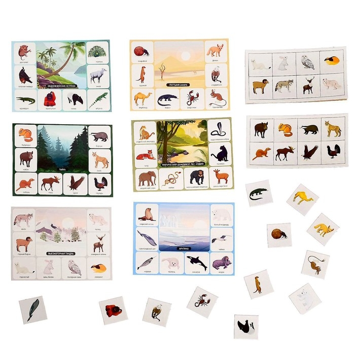 Лото детское» Кто где живёт?», МИКС Лото детское» Кто где живёт?», МИКС