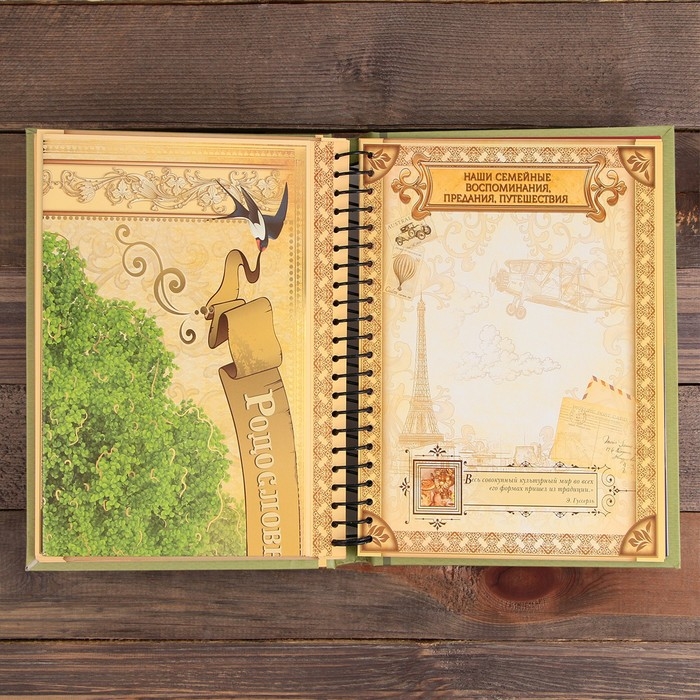 Родословная книга «Семейная летопись», 30 листов, 24,5 х 29,2 см